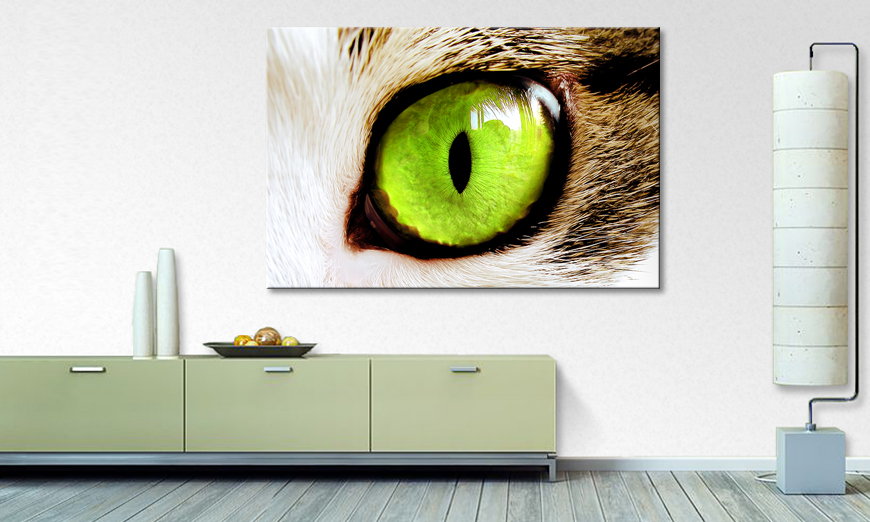 Art print Cats Eye