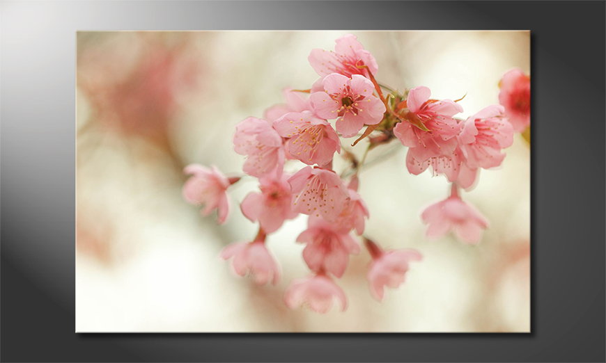 Art-print-Cherry-Blossoms