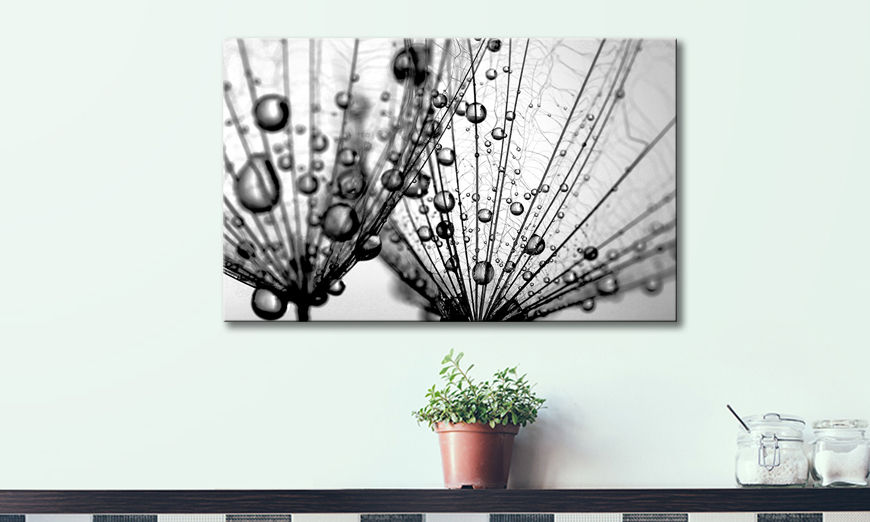 Art print Dandelion Seeds 80x50 cm