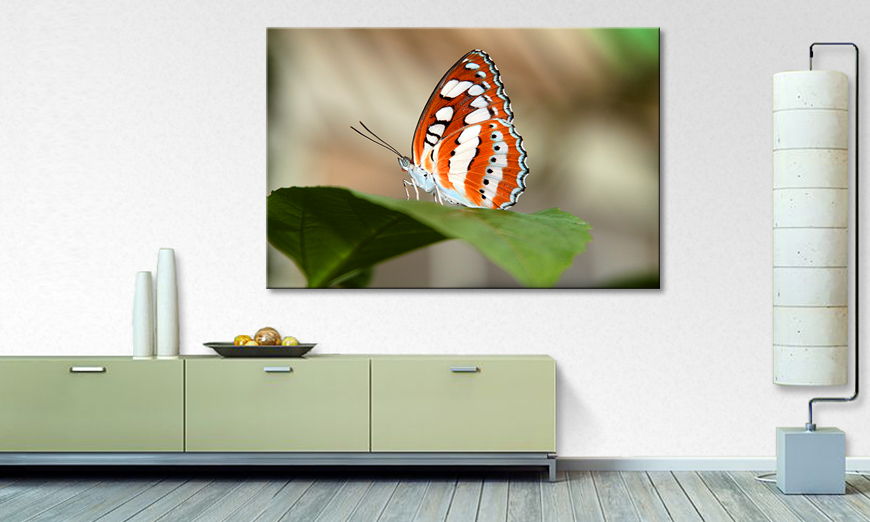 Art print Orange Butterfly