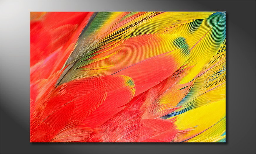 Art print Parrot Feathers