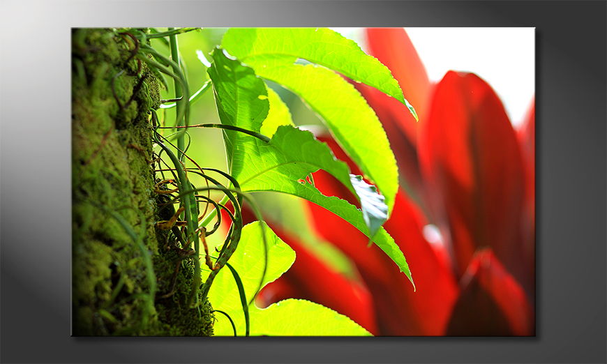 Art-print-Red-Green-Nature