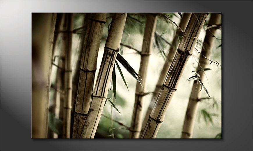 Canvas-Bamboo-Forest