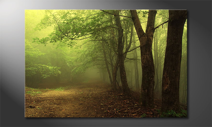 Canvas print Green Forest
