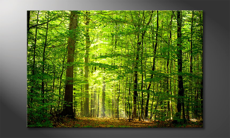 Canvas print Into the Forest