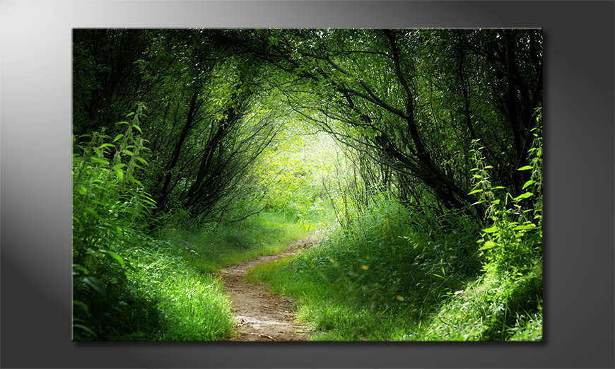 Canvas print Way into the Forest