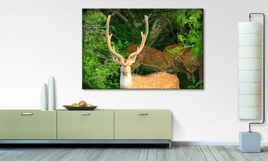 Modern art print Watching deer