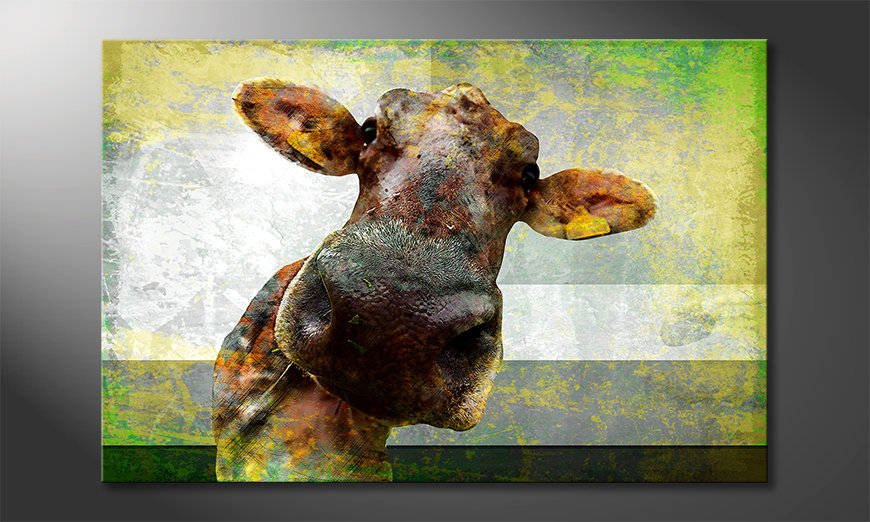 Modern-canvas-print-Cow-Nose