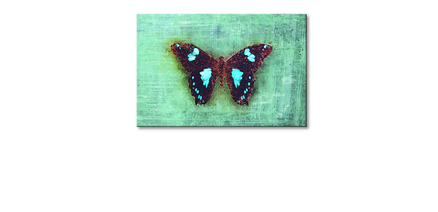 Modern-canvas-print-Gloomy-Butterfly