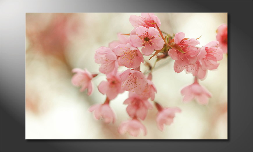 Modern-wall-decor-Cherry-Blossoms-80x50-cm