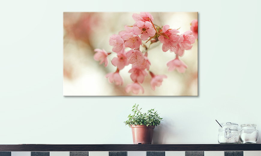 Modern wall decor Cherry Blossoms 80x50 cm