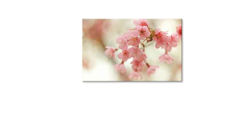Modern-wall-decor-Cherry-Blossoms-80x50-cm