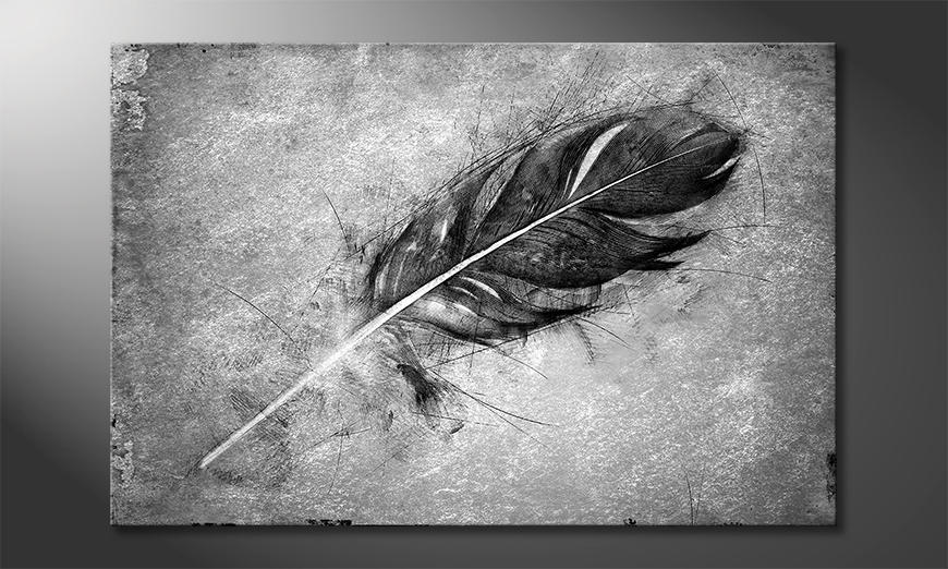 The-exclusive-art-print-Beautiful-Feather