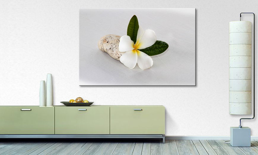 The exclusive art print Beauty Blossom 120x80 cm
