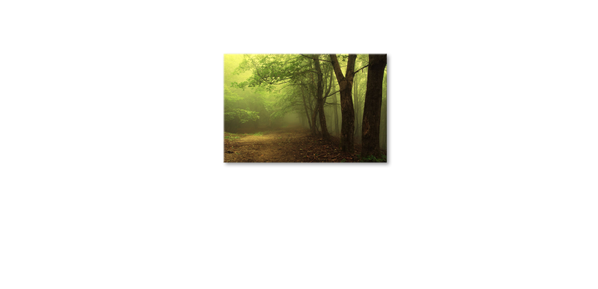 The-exclusive-art-print-Green-Forest-90x60-cm