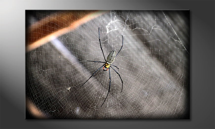 The-modern-art-print-Beautiful-Spider