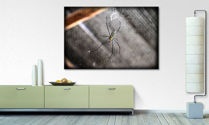 The modern art print Beautiful Spider