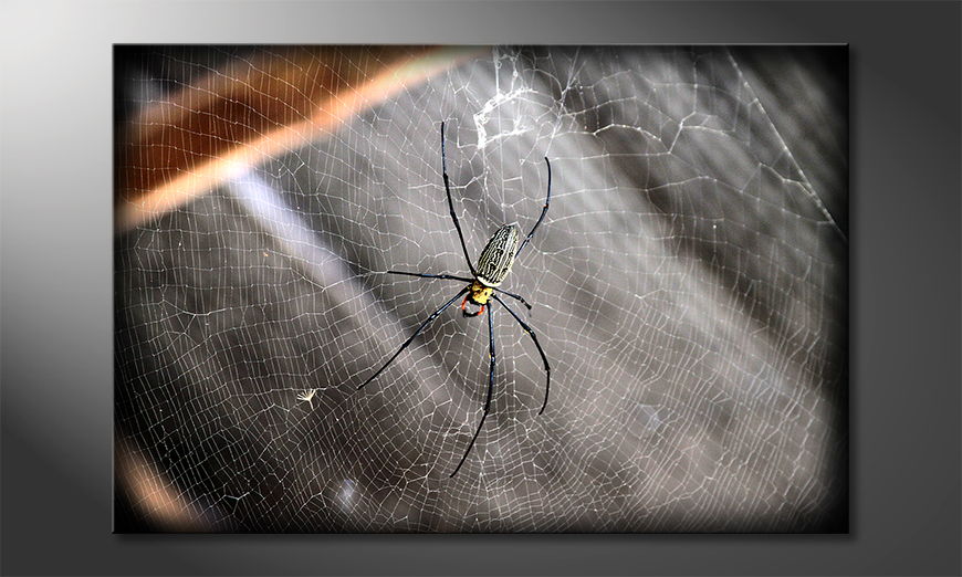 The modern art print Beautiful Spider