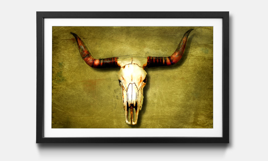 Framed picture Buffalo Bull