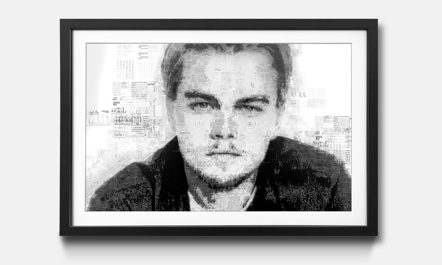Framed picture Leonardo