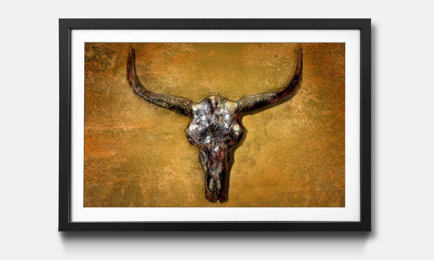 Framed picture Texas Buffalo