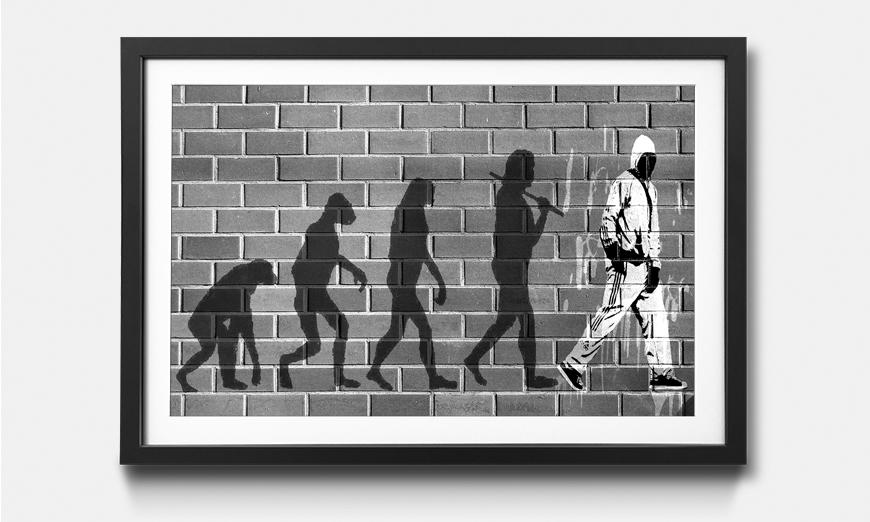 Framed wall art Evolution