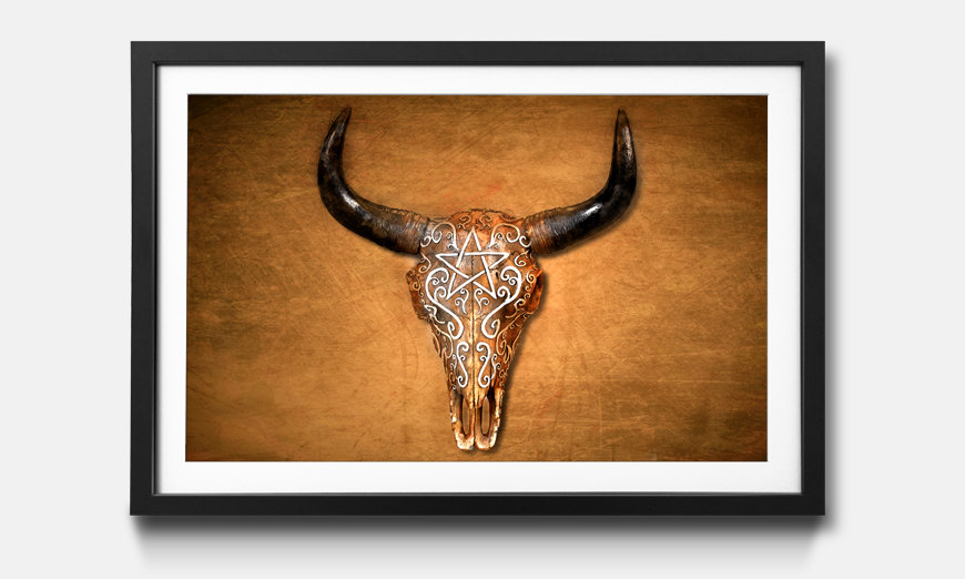 The framed art print Bison Skull