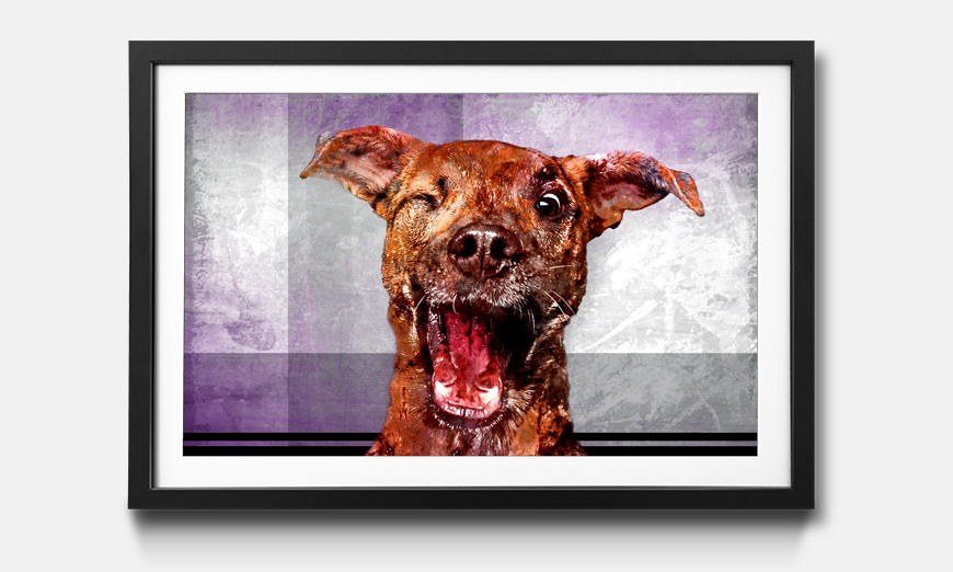 The framed art print Happy Dog