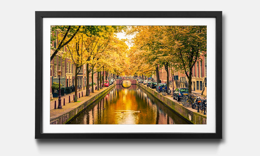 The framed picture Autumn In Amsterdam