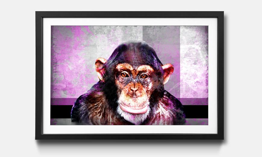 The framed picture Mr Monkey