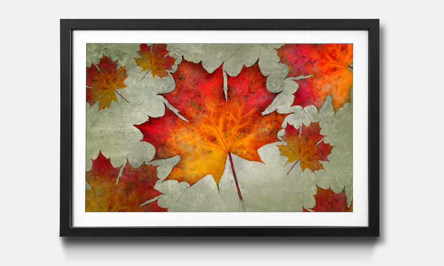 The framed print Falling Leaves