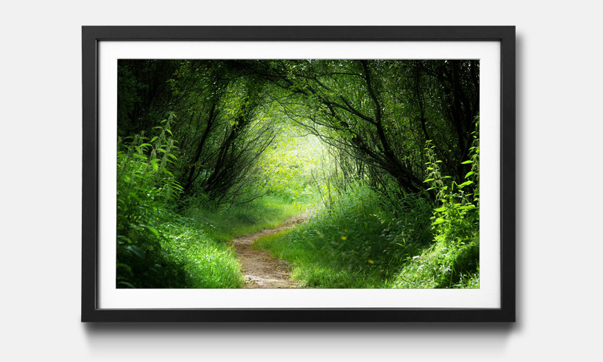 The framed print Way in Deep Forest