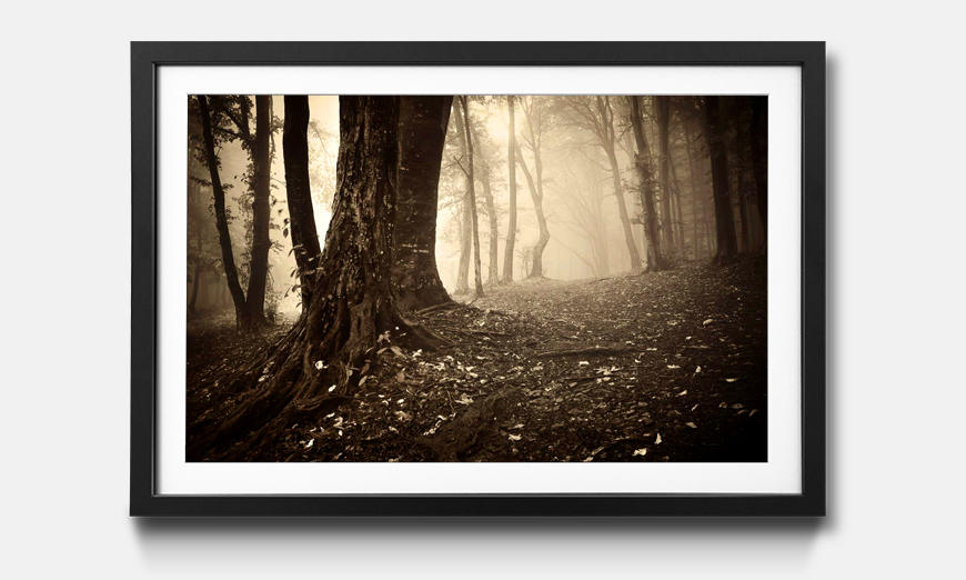 The framed wall art Enchanted Forest