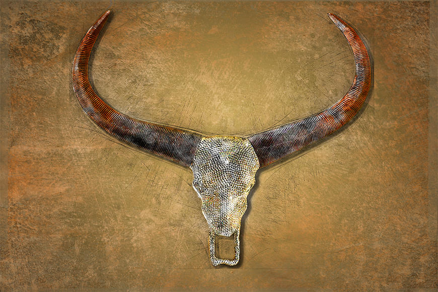 Photo wallpaper Bull Skull