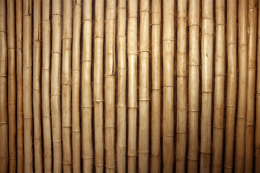Wallpaper Bamboo from 120x80cm