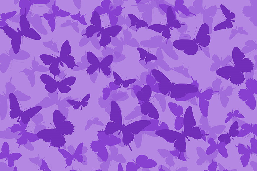 Wallpaper Butterflies from 120x80cm