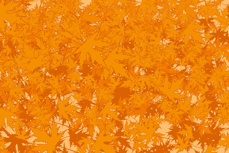 Wallpaper Maple from 120x80cm